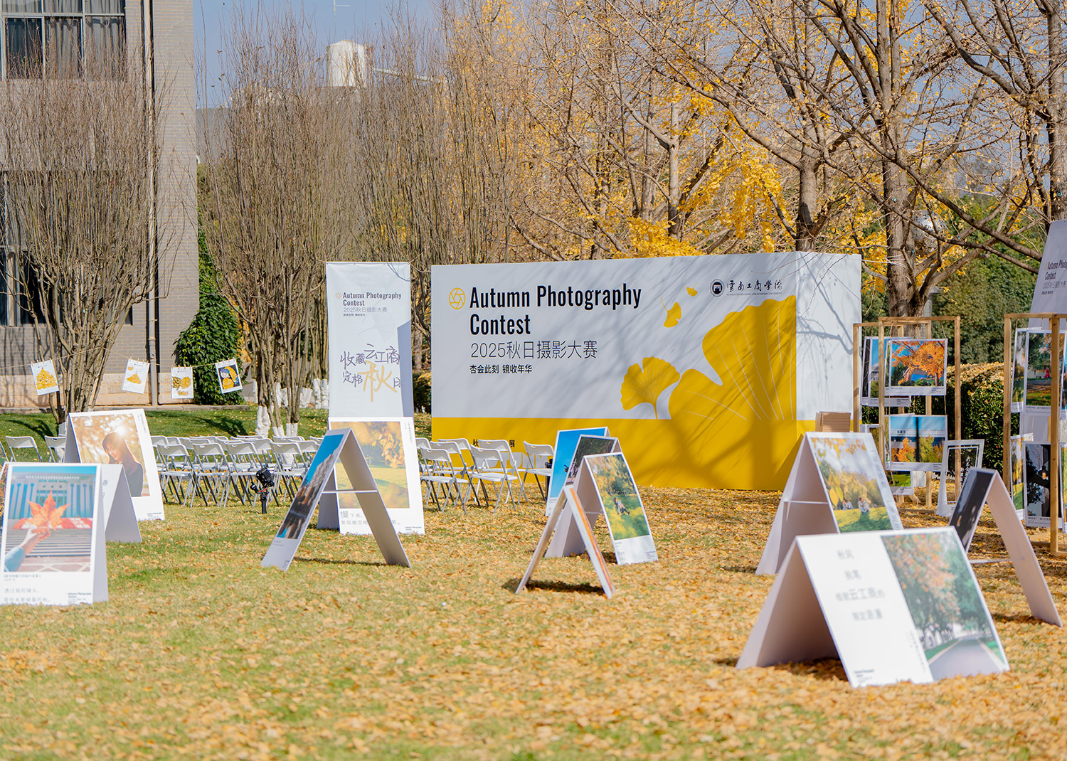 秋日摄影大赛