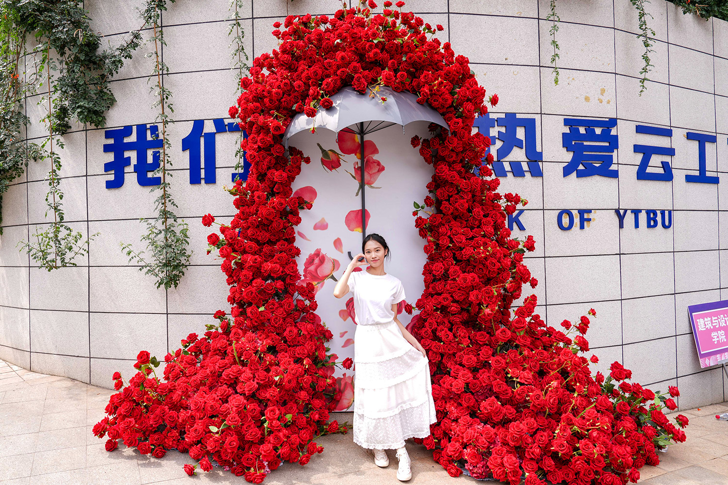 迎新玫瑰花墙打卡