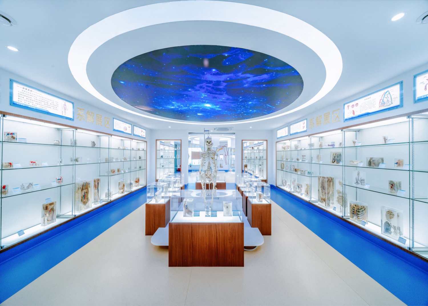 大健康学院生命科学馆